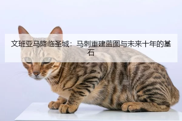 文班亚马降临圣城：马刺重建蓝图与未来十年的基石